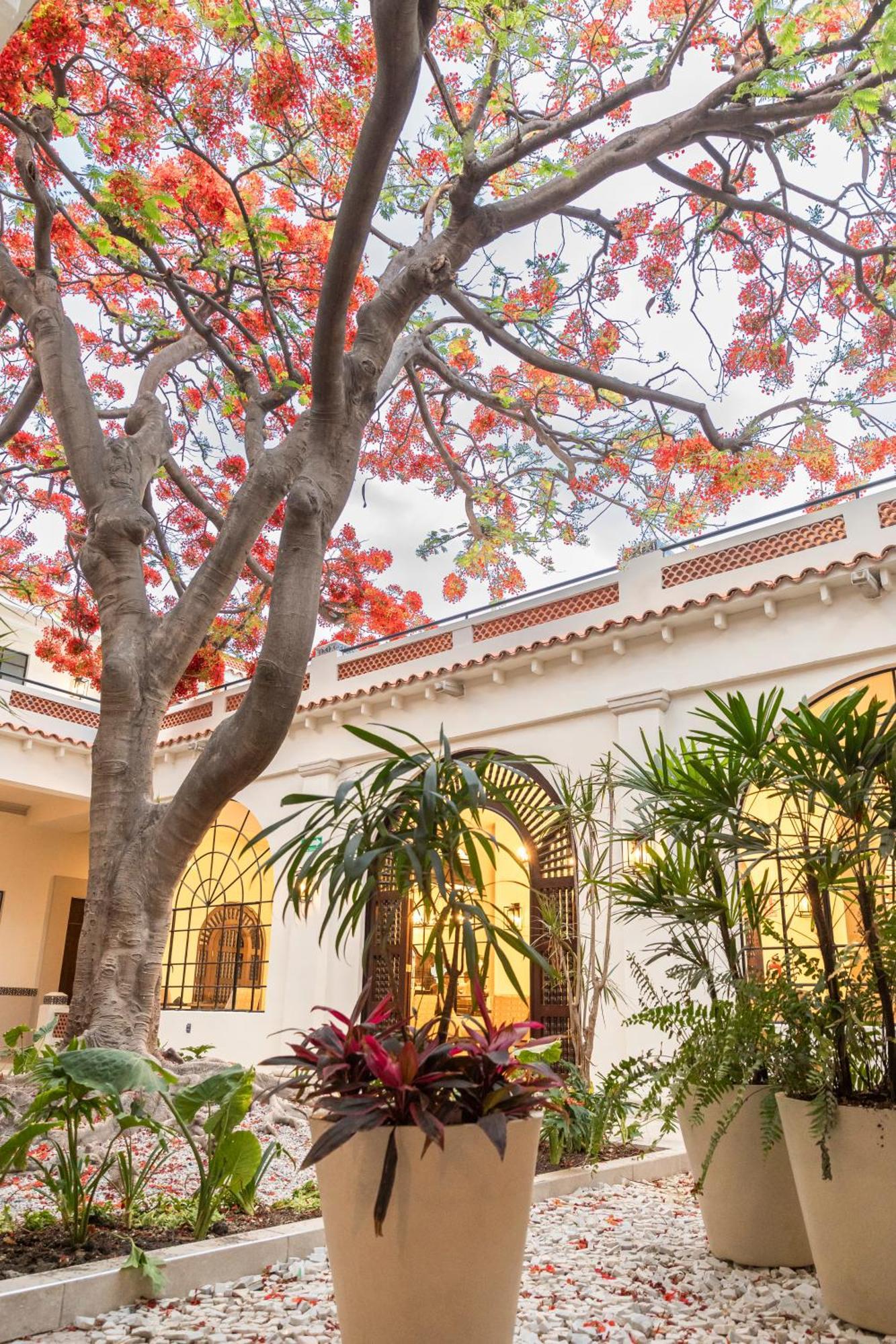 Gran Hotel Mexico By Solaris Tehuacán Exterior photo